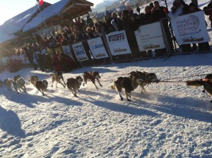 The start of the Yukon Quest.
